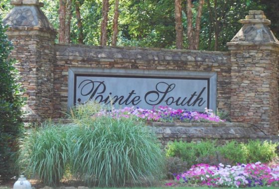 Pointe South on Lake Lanier Sheila Davis Group Real Estate